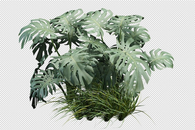 Farn in 3D-Rendering ausschneiden