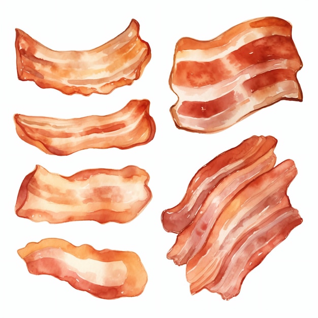 Fatia de bacon aquarela isolada