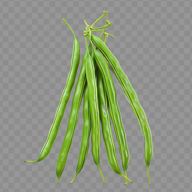 PSD feijão de jardim longo legumes muito longos pênis verde formd pods ob isolado natural orgânico blanco bg