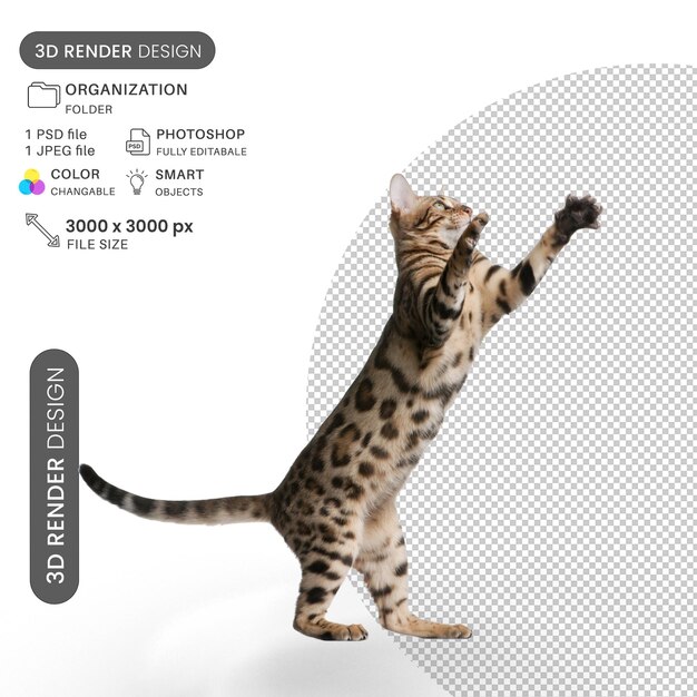 Feliz gato brincando ao ar livre PSD