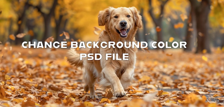 PSD feliz golden retriever jugando en las hojas de otoño