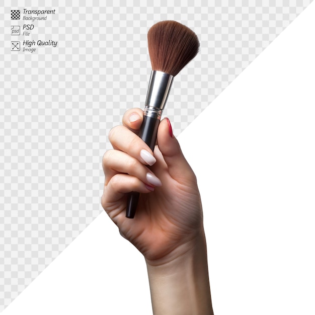 PSD female hand holding a makeup brush perfect for cosmetics