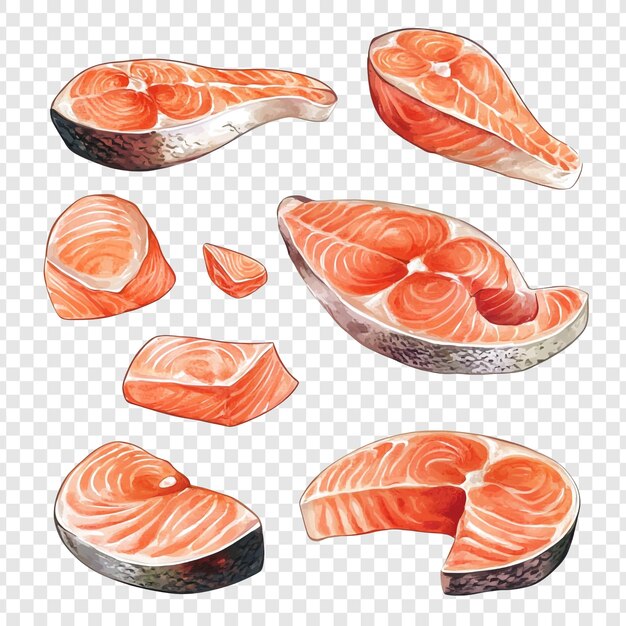 Fette di filetto di salmone fresco