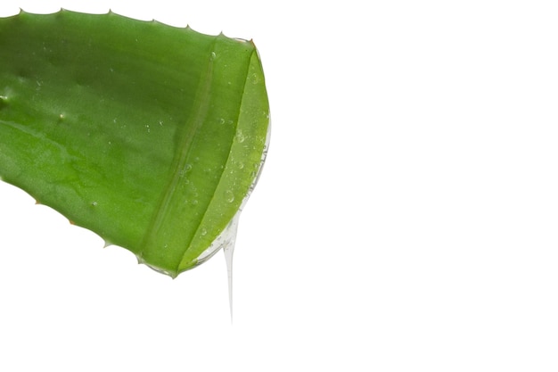 PSD feuille d'aloe vera frais vert avec du gel transparent dégoulinant sur fond blanc