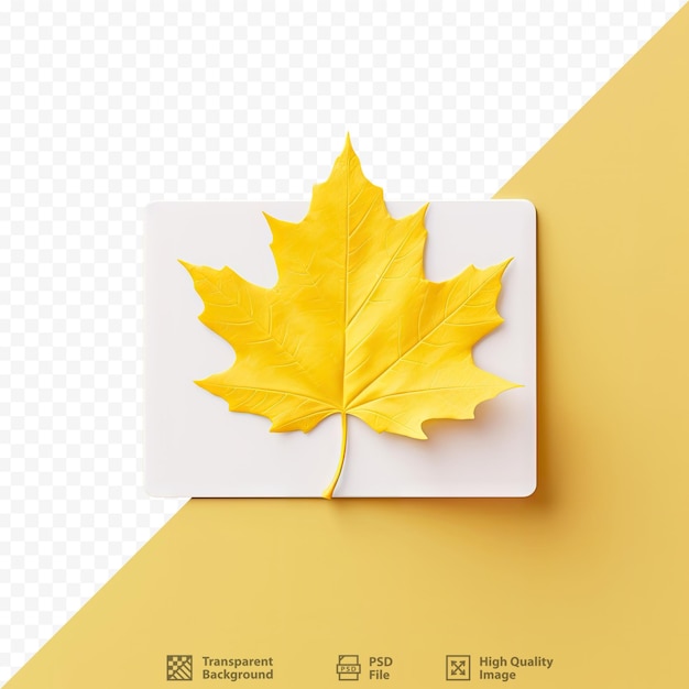 PSD une feuille d'érable jaune isolée avec une carte de prix blanche vue d'en haut sur un fond transparent en automne