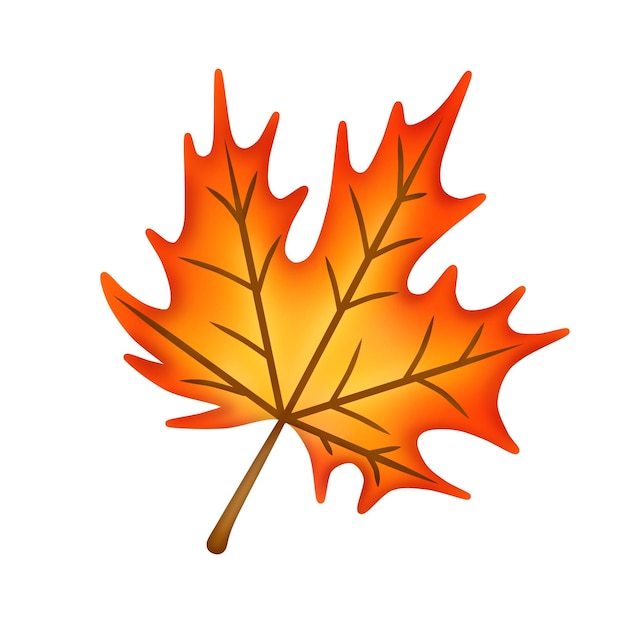 feuille d'érable