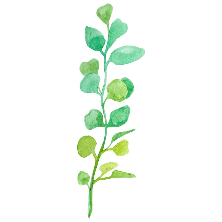 PSD feuille de fleur peinte à l'aquarelle élément de conception de fleur dessiné à la main isolé sur un fond transparent
