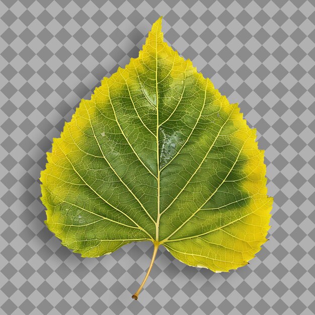 Une Feuille Jaune Avec Des Feuilles Vertes Sur Un Fond à Carreaux