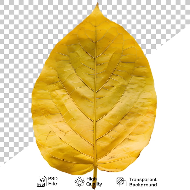 PSD une feuille jaune sur un fond transparent