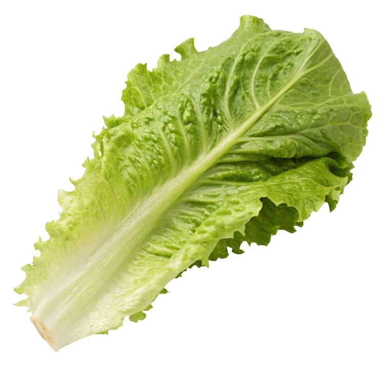 PSD feuille de laitue isolée sur fond blanc idéale pour les visuels de salade saine et l'inspiration de la nourriture fraîche