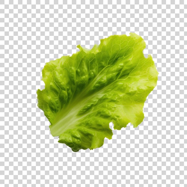 La Feuille De Laitue Verte Légumes Frais Transparent Png Clipart