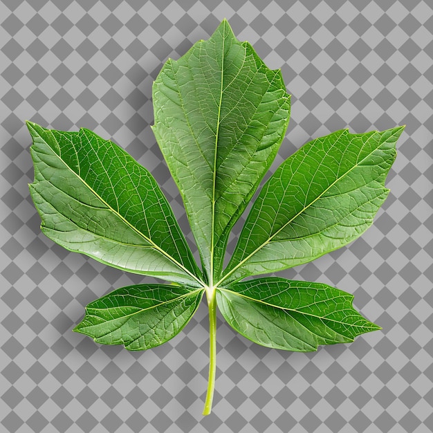 PSD une feuille de menthe verte sur un fond à carreaux