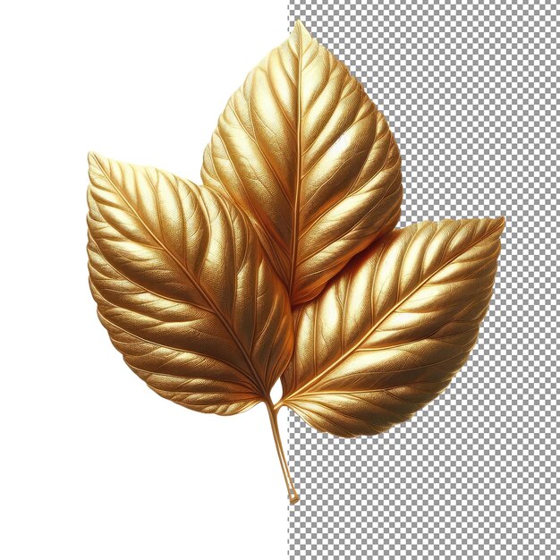 Feuille D'or De Grâce Dorée Isolée Sur Une Palette Png Transparente