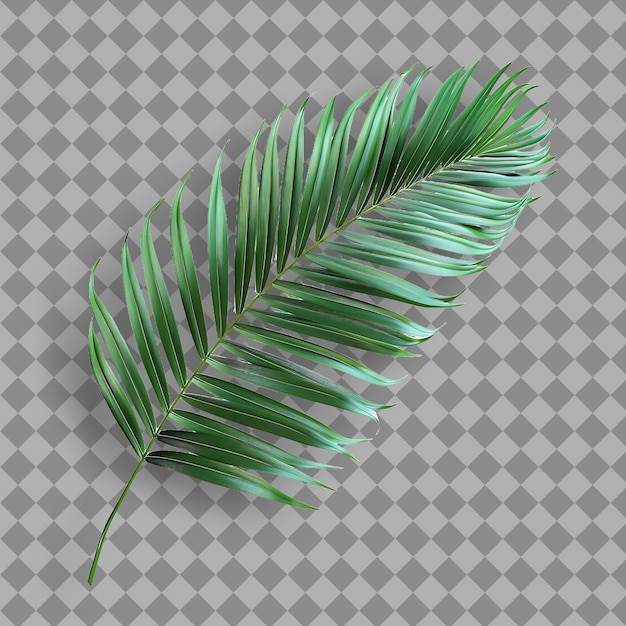 PSD une feuille de palmier verte sur un fond gris avec un motif de feuille de palmeraie