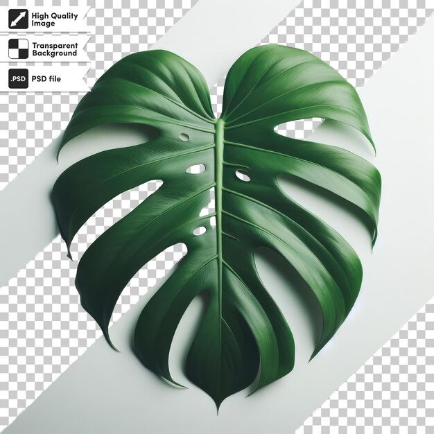 Feuille Tropicale Verte Psd Sur Fond Transparent