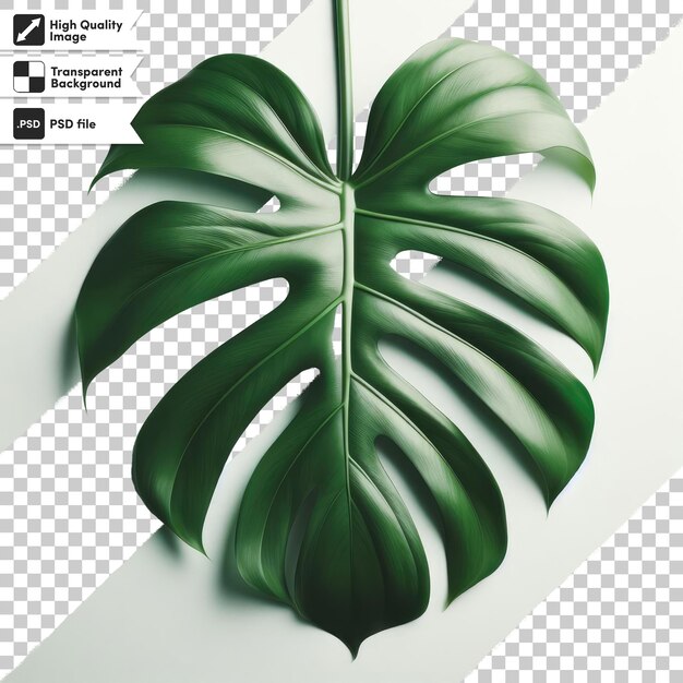 PSD feuille tropicale verte psd sur fond transparent