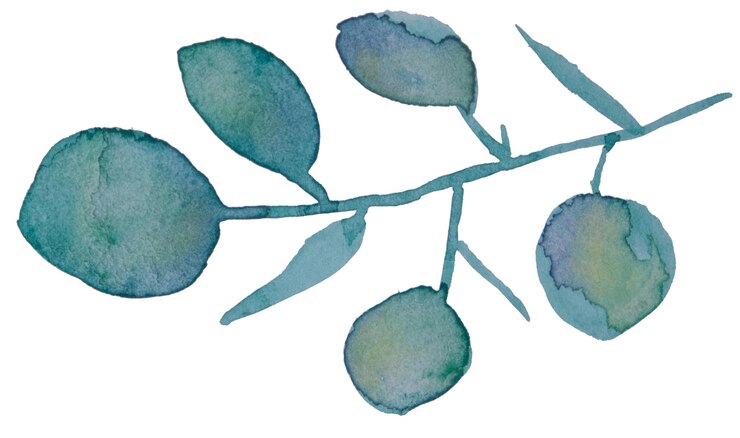 PSD feuilles d'aquarelle dessinées à la main