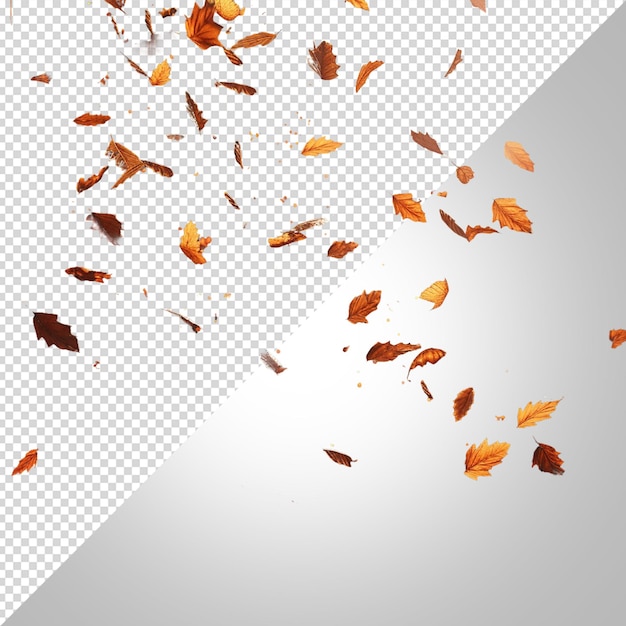 PSD feuilles d'arbre tombant en automne isolées sur un fond blanc