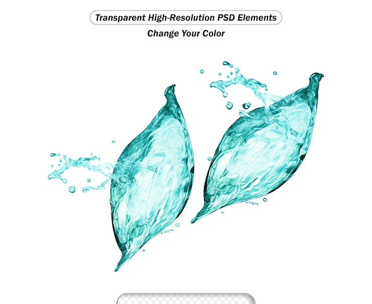 PSD les feuilles d'arbres faites d'éclaboussures d'eau isolées sur un blanc transparent