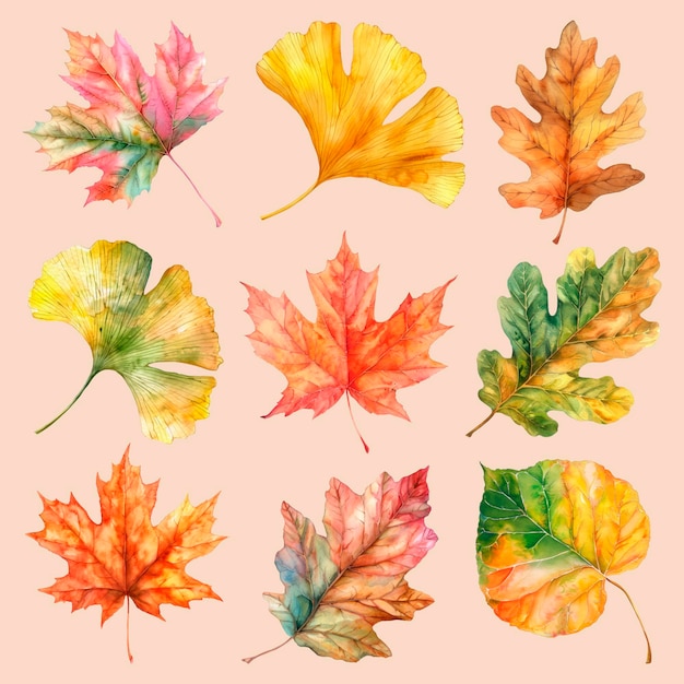 Des feuilles d'automne colorées