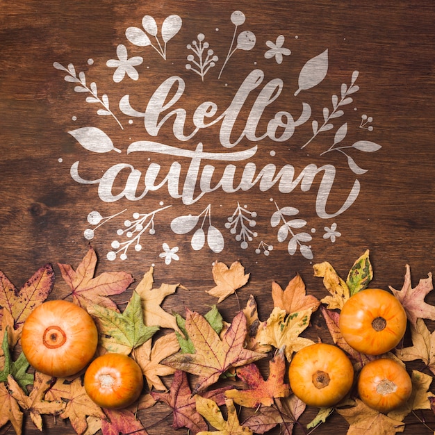 Feuilles d'automne plat poser sur fond en bois
