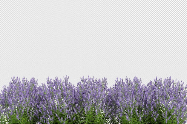 Feuilles de fleurs d'arbres tropicaux et premier plan de branche isolé