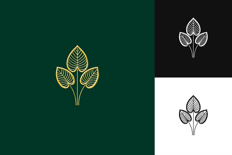 PSD les feuilles de la plante sont vertes et les feuilles sont vertes