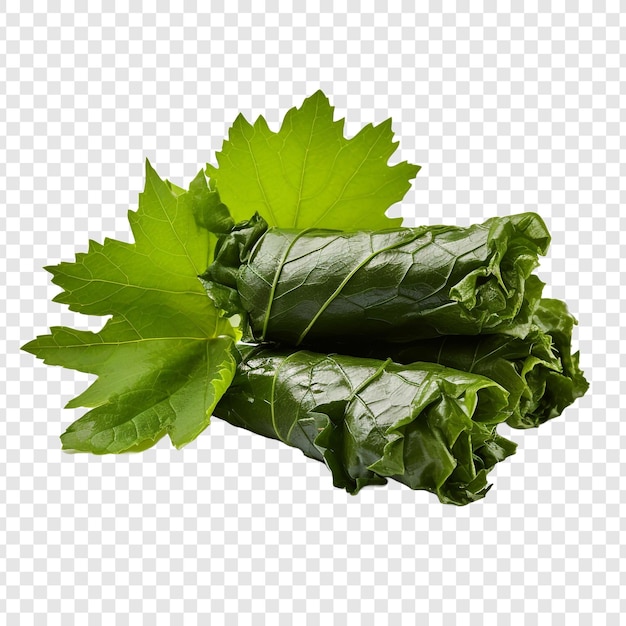 Feuilles de raisin isolées sur un fond transparent