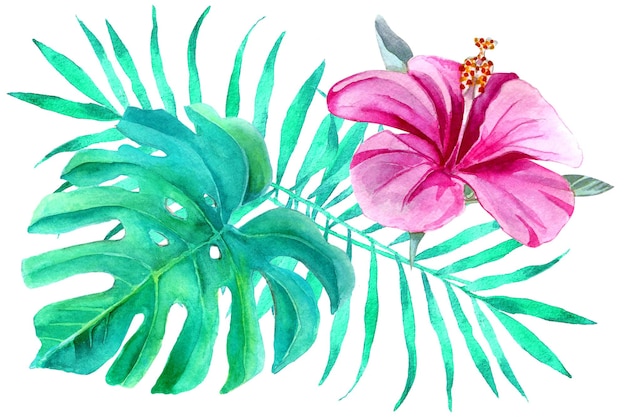 feuilles tropicales aquarelles