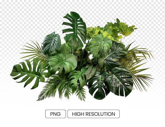 PSD feuilles tropicales feuillage plante jungle buisson floral
