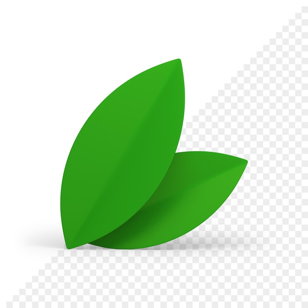 Feuilles vertes feuillage naturel forêt parc jardin environnement écologie plante 3d icône réaliste