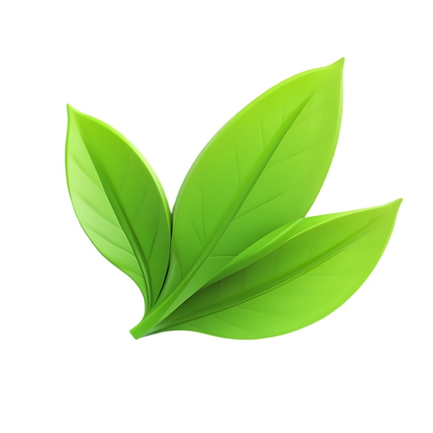 Les feuilles vertes fraîches sont un symbole de croissance, de nature et de vitalité