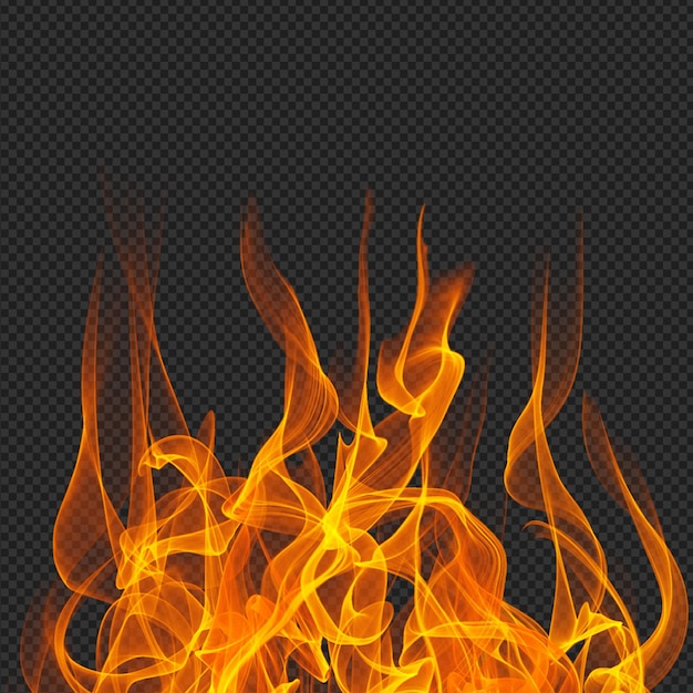 Fiamme di fuoco su sfondo trasparente