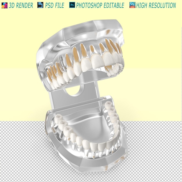 Le fichier PSD 3D de l'anneau de dent