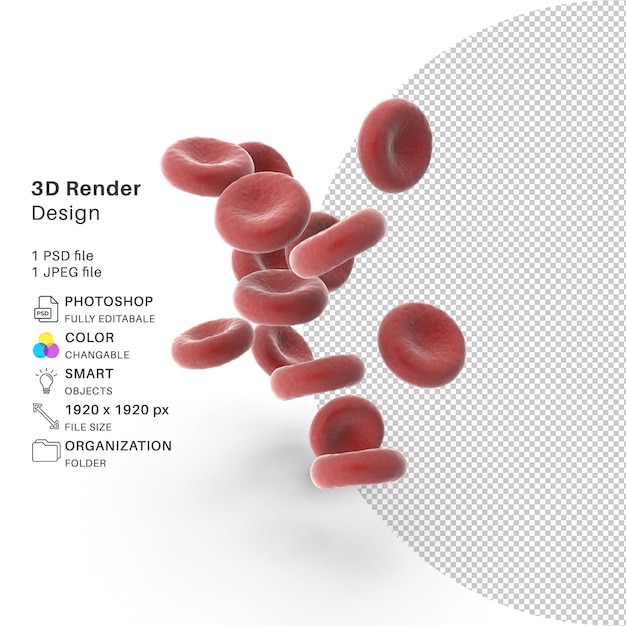 Fichier PSD de modélisation 3D de globules rouges réaliste