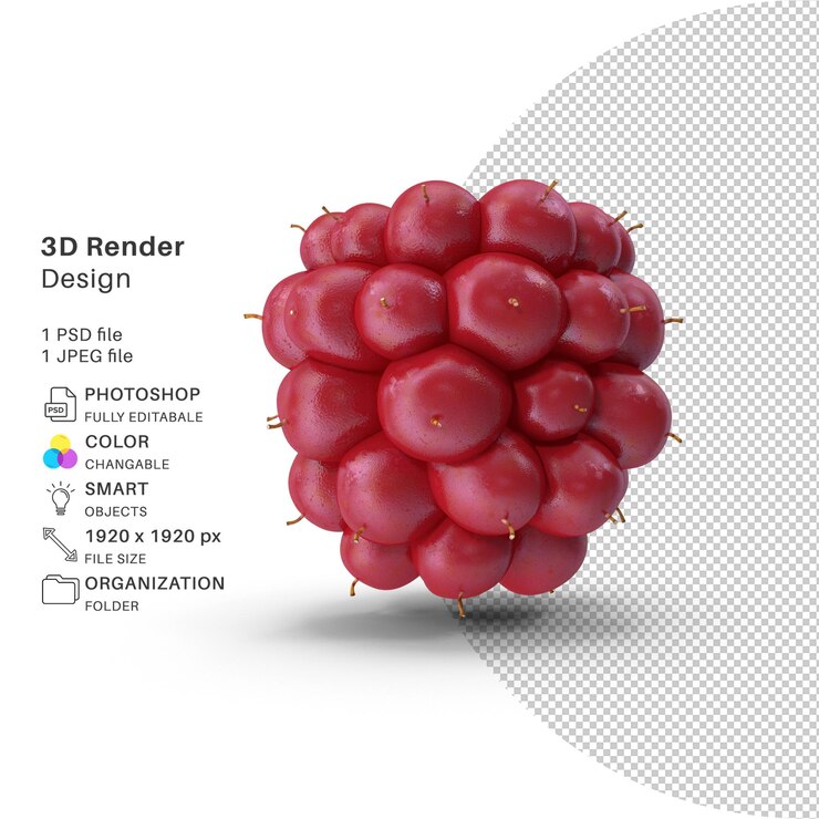 PSD fichier psd de modélisation 3d noir de fruits de mûres de baies non mûres réaliste