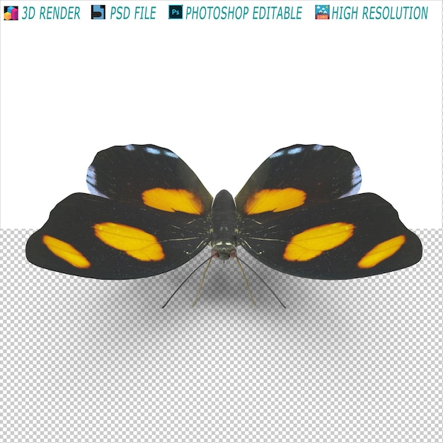 PSD fichier psd de modélisation 3d de papillon