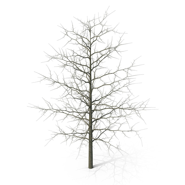 Des fichiers PSD réalistes en 3D d'hiver sur des chênes nus, de la nature détaillée et de l'art saisonnier