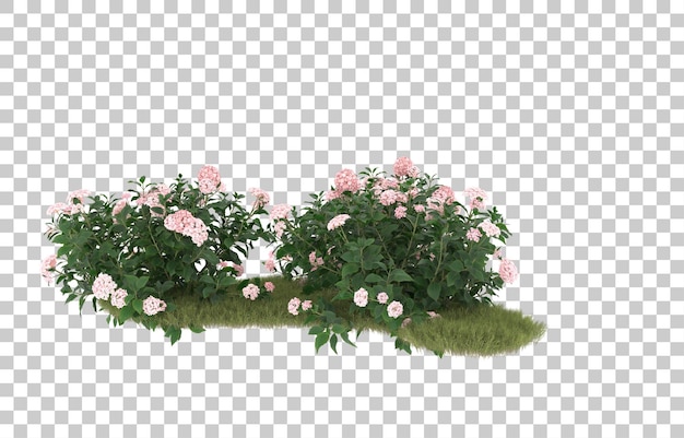 field of grass with flowers on transparent background. 3d rendering - illustration