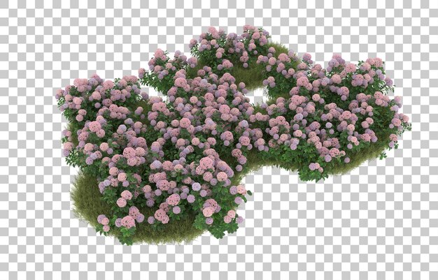 field of grass with flowers on transparent background. 3d rendering - illustration