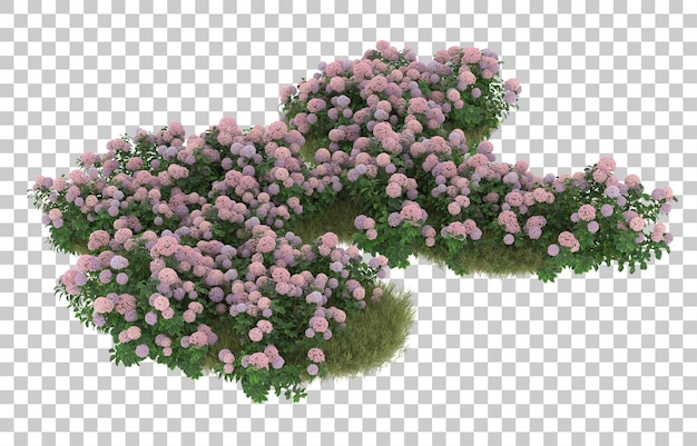 field of grass with flowers on transparent background. 3d rendering - illustration