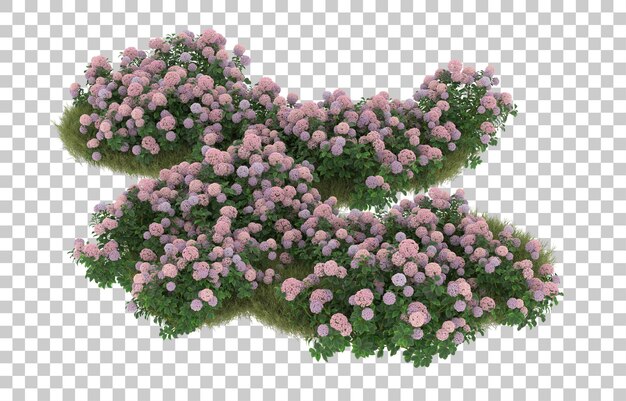field of grass with flowers on transparent background. 3d rendering - illustration