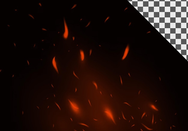 Fiery sparks and embers on black fire particle