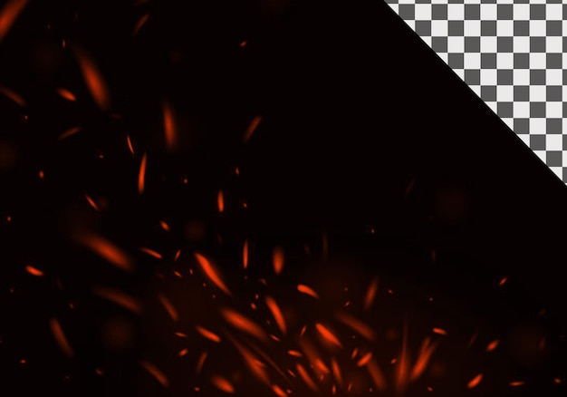 Fiery sparks and embers on black fire particle