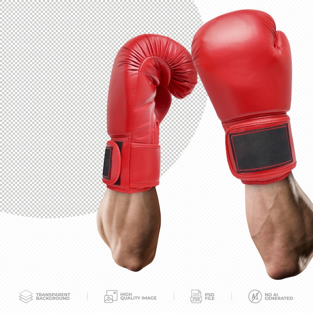 fighter showing hands in boxing glove On Transparent Background PSD