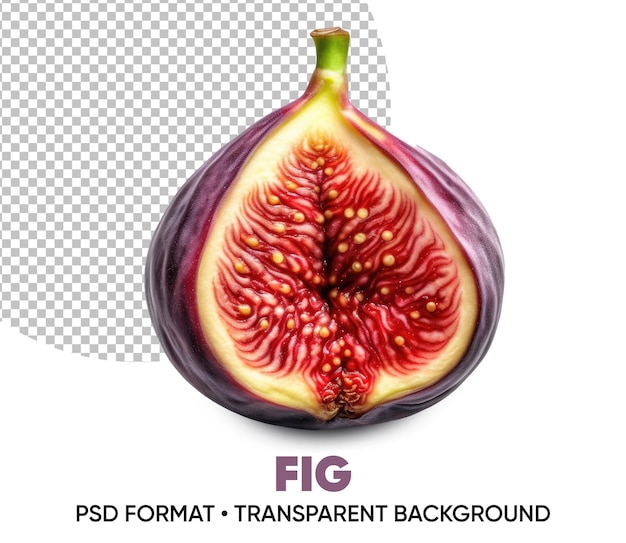 PSD figo fundo transparente