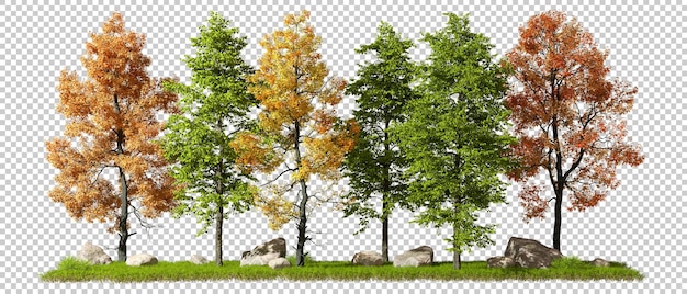Fila de árboles de paisajismo sobre fondos transparentes renderizado 3d