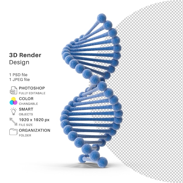 File PSD di modellazione 3D del DNA DNA realistico