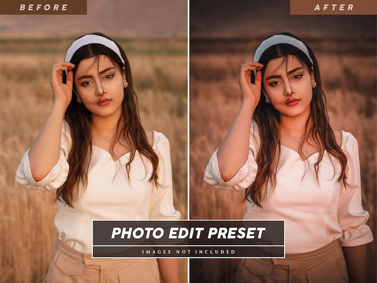 Filtre prédéfini de modification de photo vintage modifiable pour les images instagram