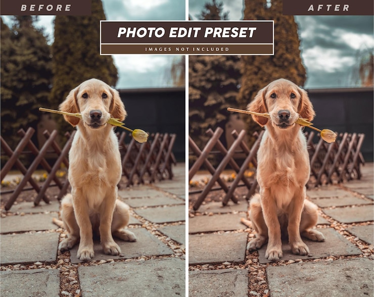 PSD filtro di modifica foto instagram marrone lunatico modificabile preimpostato per le immagini dei social media di influencer di animali domestici